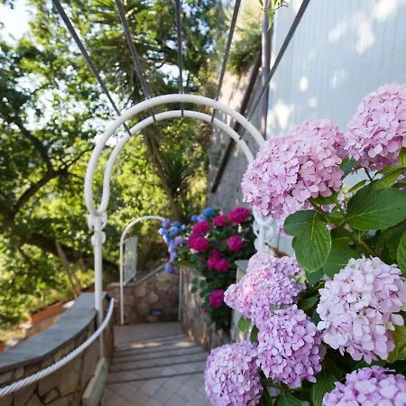 Le Terrazze Lejlighedshotel Sorrento