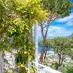 Le Terrazze Sorrente